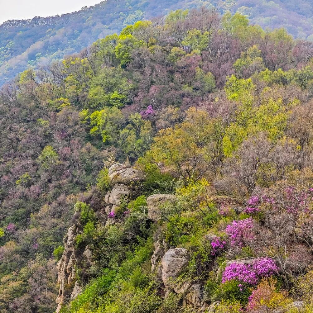 【休闲】5月2日：海坨山谷-1473咖啡馆「人间仙境」