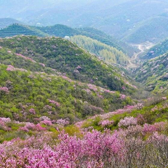 热门活动-【初级】5月1日：禾子涧「山花灿烂」