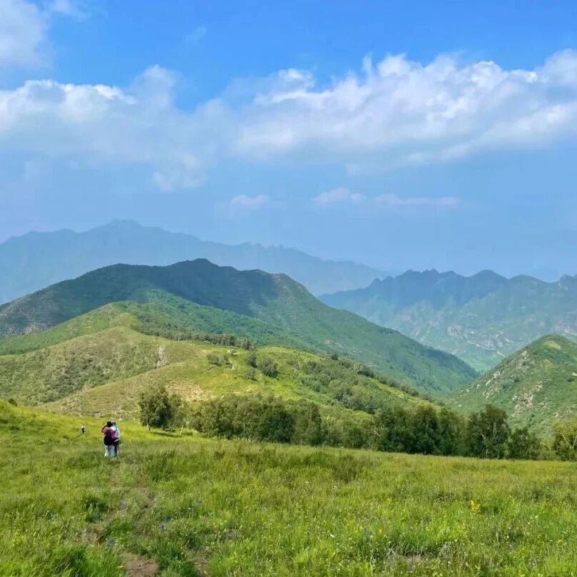 初级适度 | 5.16 周六 | 黄草梁高山草甸穿越，拥抱盛夏的绿色
