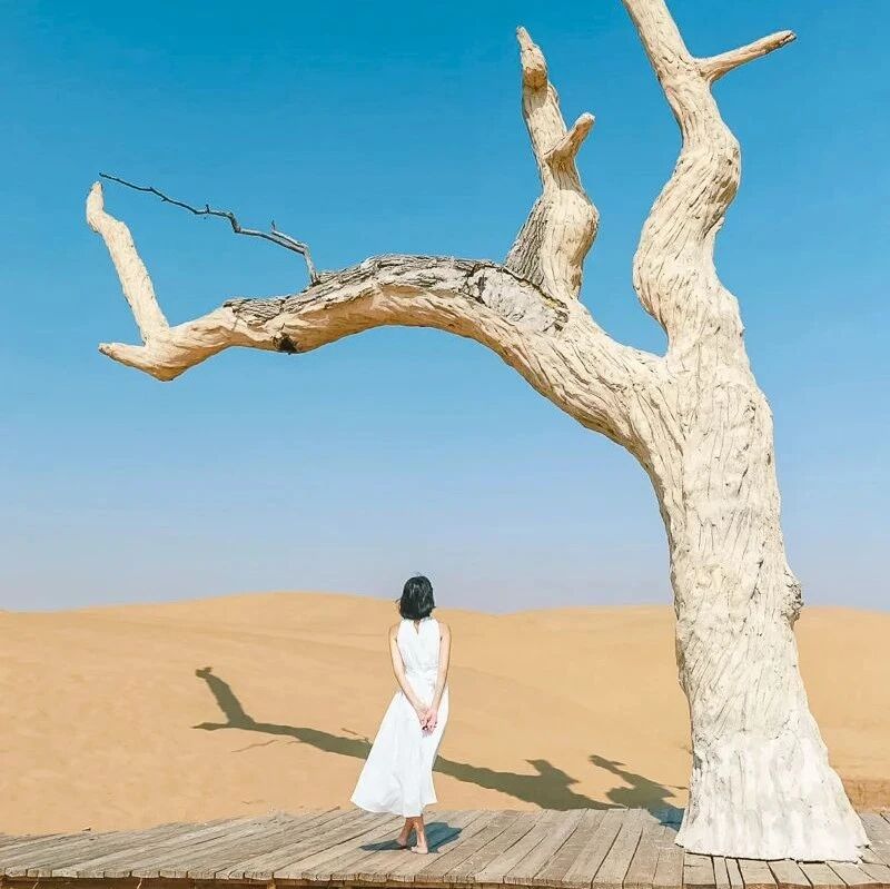 热门活动-端午蒙西秘境｜一半沙漠一半海の网红乌海-西部梦幻峡谷-敕勒川草原-美岱召-古力脑包火山