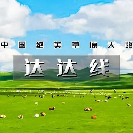 端午达达线｜小众线路の中国绝美草原天路-美林谷-玉龙沙湖-阿斯哈图石林-达里湖3天