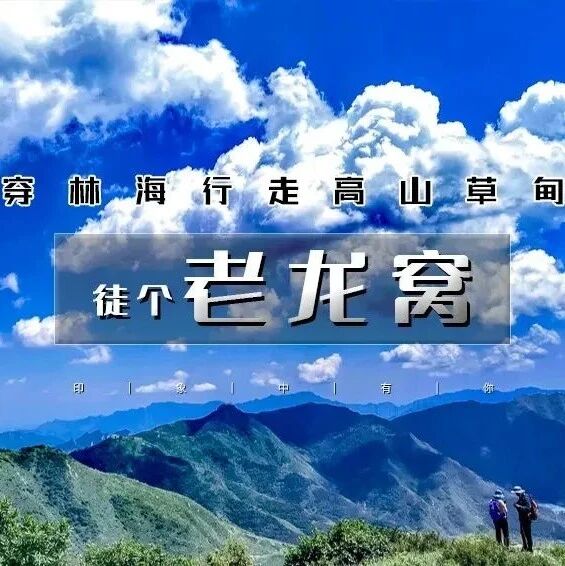 老龙窝｜穿林海行走高山草甸11公里环穿
