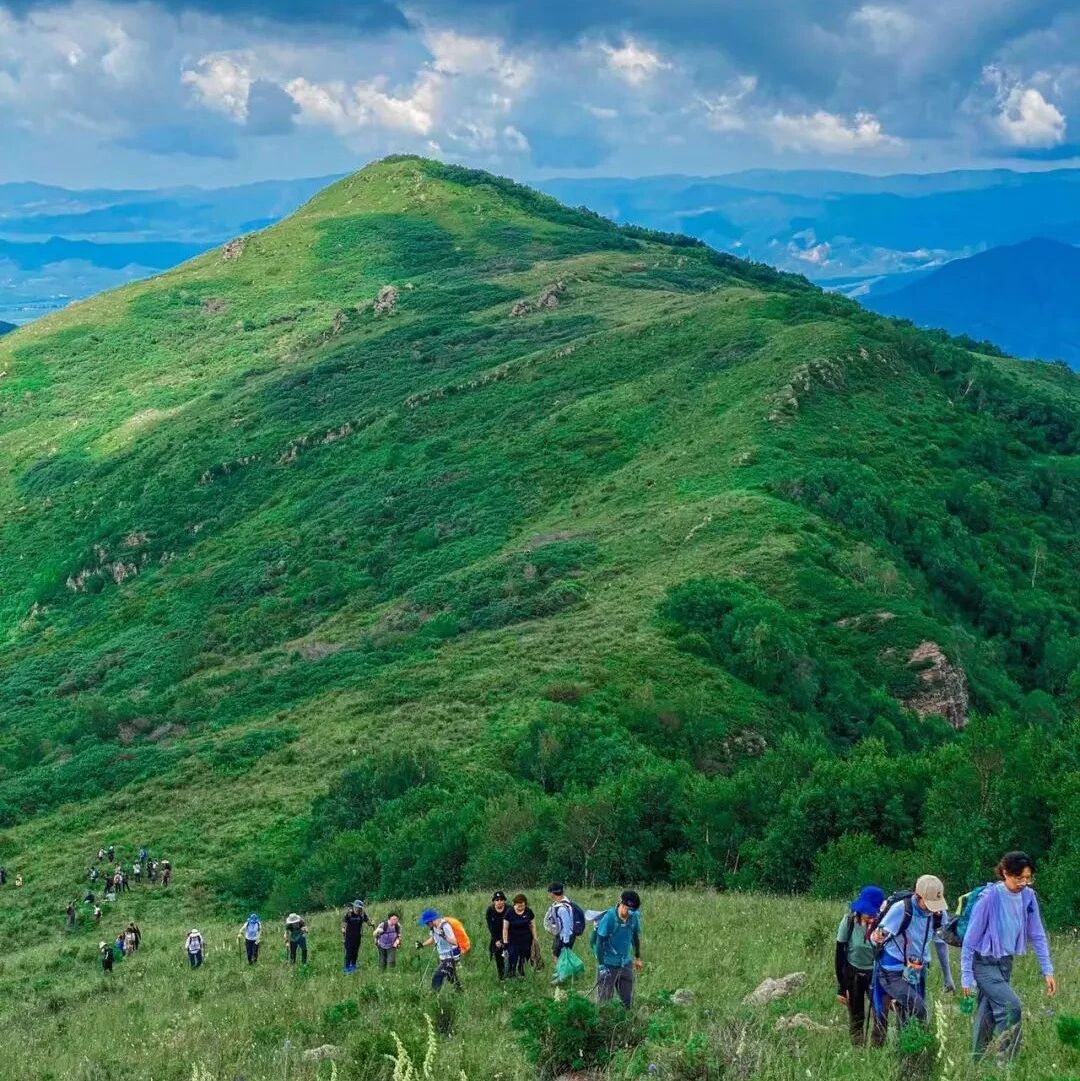 热门活动-【初级】5月24日：怀来第一高峰大黑峰「森林」「高山草甸」