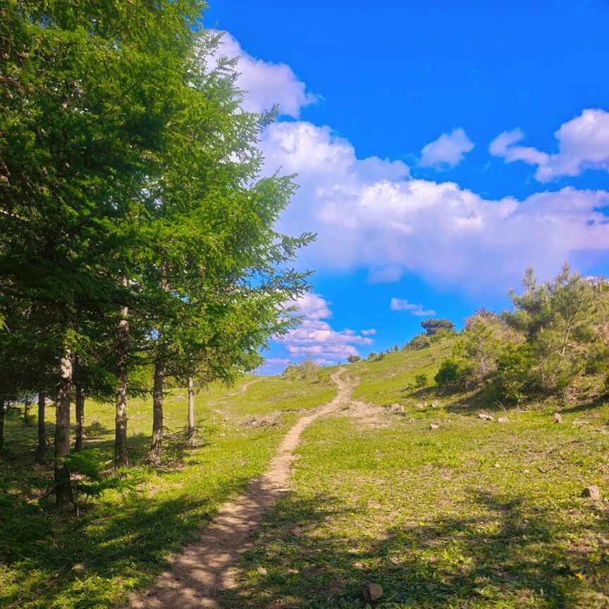 【初级 超美】5月24日：赤壁北线「草甸」「野花」「森林」
