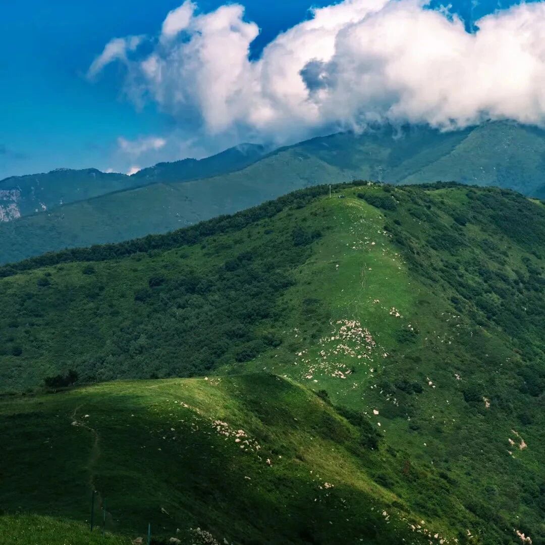 活动封面-初级适度｜5.30 周六｜越过山丘，遇见云海！海坨南，一次属于硬核玩家的浪漫出逃