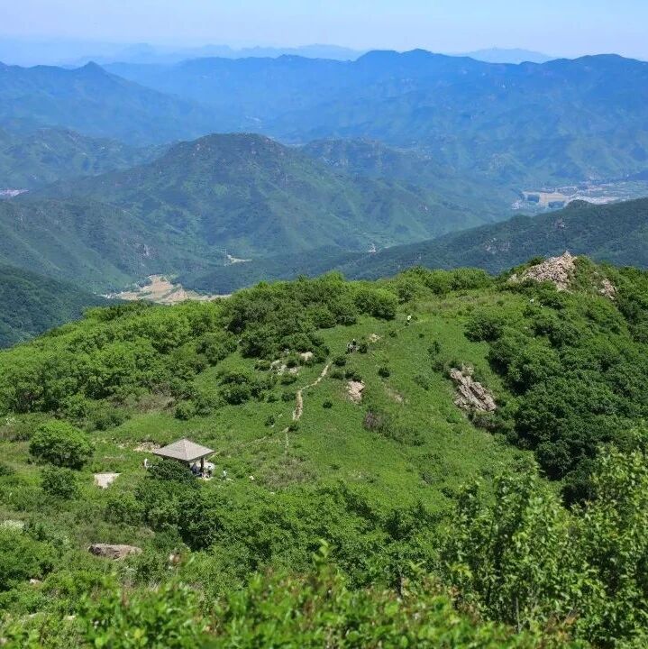 活动封面-【初级】5月30日：凤凰坨「高山草甸」「林荫小道」「山泉溪流」