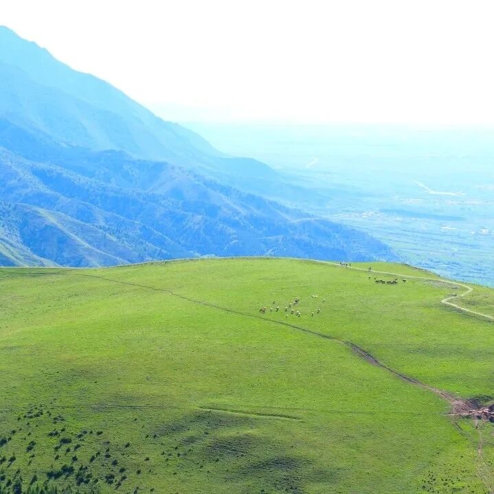 活动封面-【中级/初级】5月30日：白谷查山-天马草原「毗邻太行之巅」「最美高山草甸」
