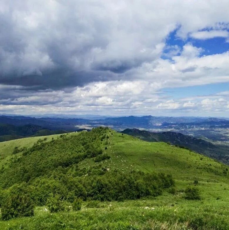 热门活动-【初级+】6月6日：营盘梁-娘子山-虎背岭「百花草甸 」「高山避暑」
