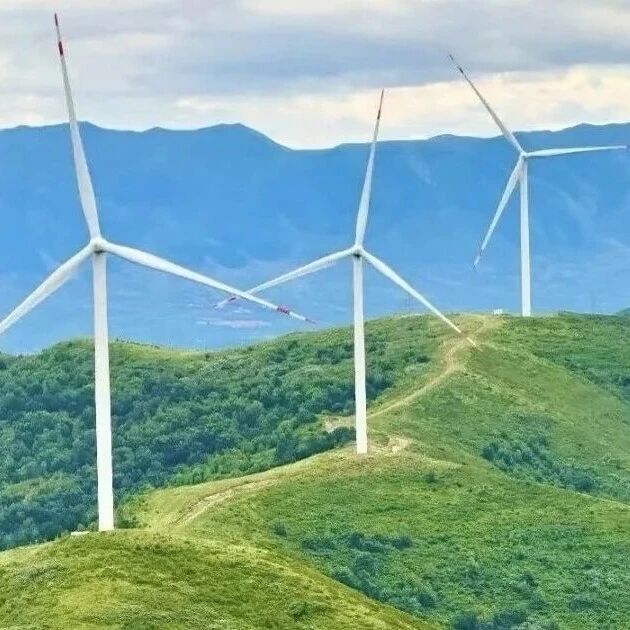热门活动-【初级/初级+】6月20日：羊道山-刁蝉顶「高山草甸.繁花似锦」