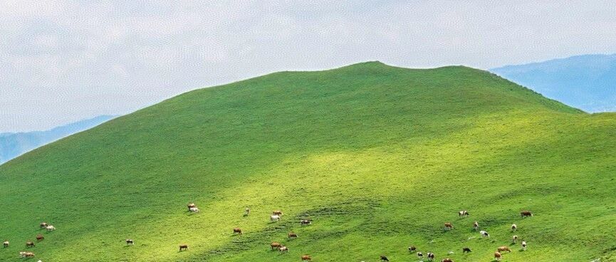 热门活动-【初/中级】6月20日：安全沟梁—饮牛渠【牛羊满山坡】