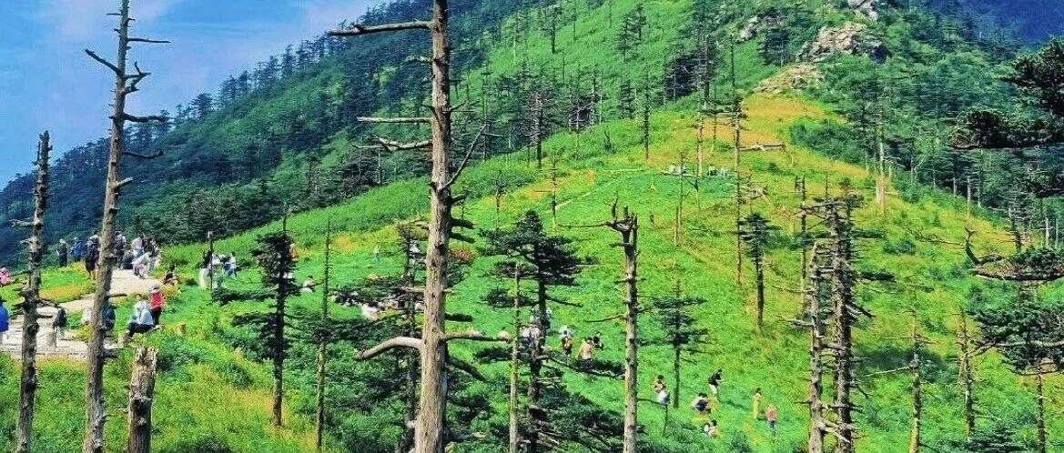 热门活动-（已成行）周末特种兵｜7月11-12日丨秦岭东段最高峰冰晶顶+终南山险峰嘉午台