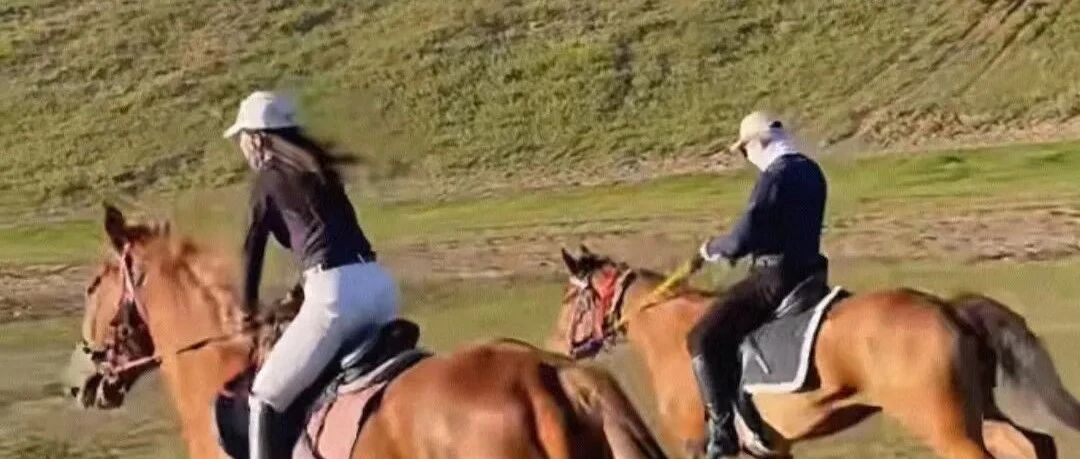 热门活动-【休闲骑马】7月4-5日：坝上草原骑马「自由驰骋」「新手友好」「老少皆宜」