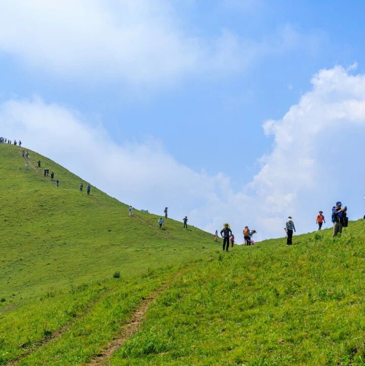 热门活动-【初级】7月4日：抢风崖「山野风光」「高山草甸」「原始森林」「新手友好」