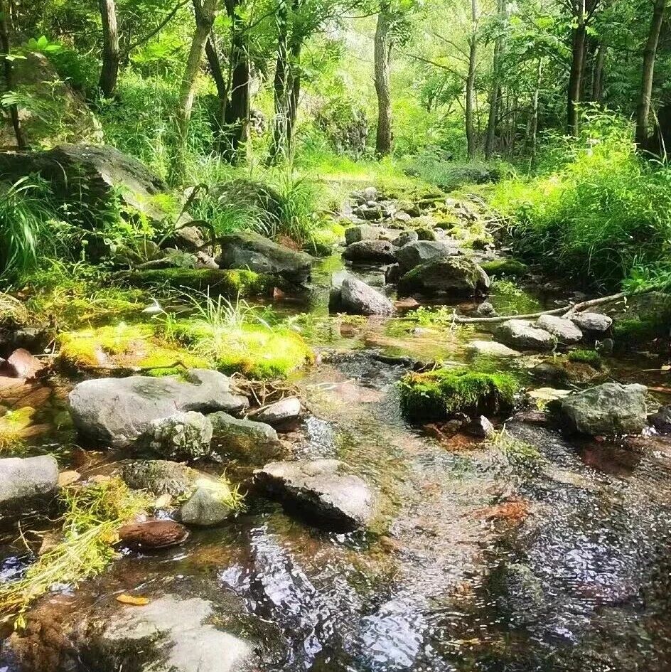 活动封面-入门休闲｜7.11 周六｜钻进大地的裂缝！鳌鱼沟徒步，在巨石与清流间四肢并用的野性狂欢