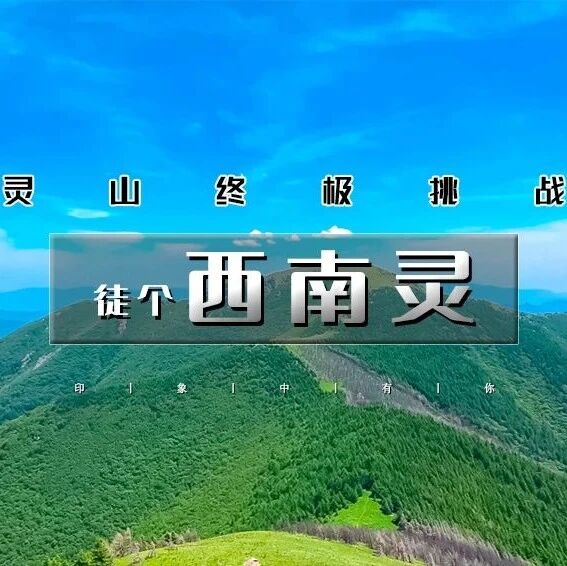 热门活动-西南灵16公里穿越 金莲花盛开期-黑森林-高山草甸-京郊徒步天花板级线路<中级强度>