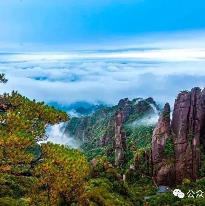 活动封面-即将成团！7.17晚-7.19【三清山2.5天】天下第一仙山三清山