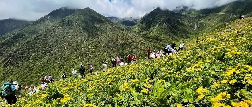 周六-1天 | 穿越巴朗山 | 赏高山花海（103元）