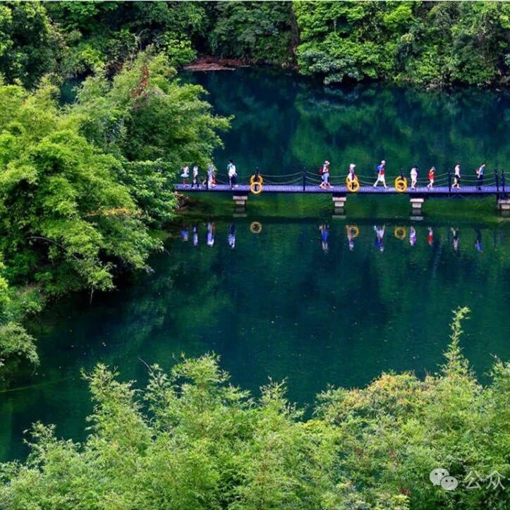 已成团！79元起！周日7.19 云舟领队 【鼎湖山电音节转发免票】宝鼎园绿野燥浪 森野电音、山泉水战、26℃氧吧清凉狂欢之旅
