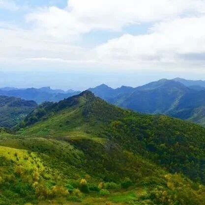 热门活动-初级适度｜7.25 周六｜金黄与翠绿交织的山脊！大黑峰，大自然铺在1972米的厚涂油画