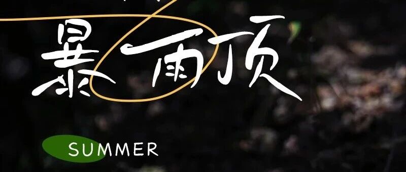 暴雨顶采蘑菇 · 探秘野生菌的奇妙世界の-12公里徒…