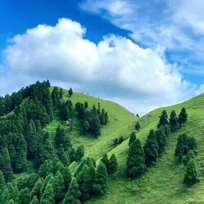 已成团！8.15晚-8.16，清风领队【特种兵之夜登广西六五顶9公里】“那拉提”高山草原北欧同款塔状