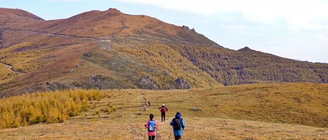 赴一场五台山朝台的秋日之约，邂逅金草甸、古寺彩…