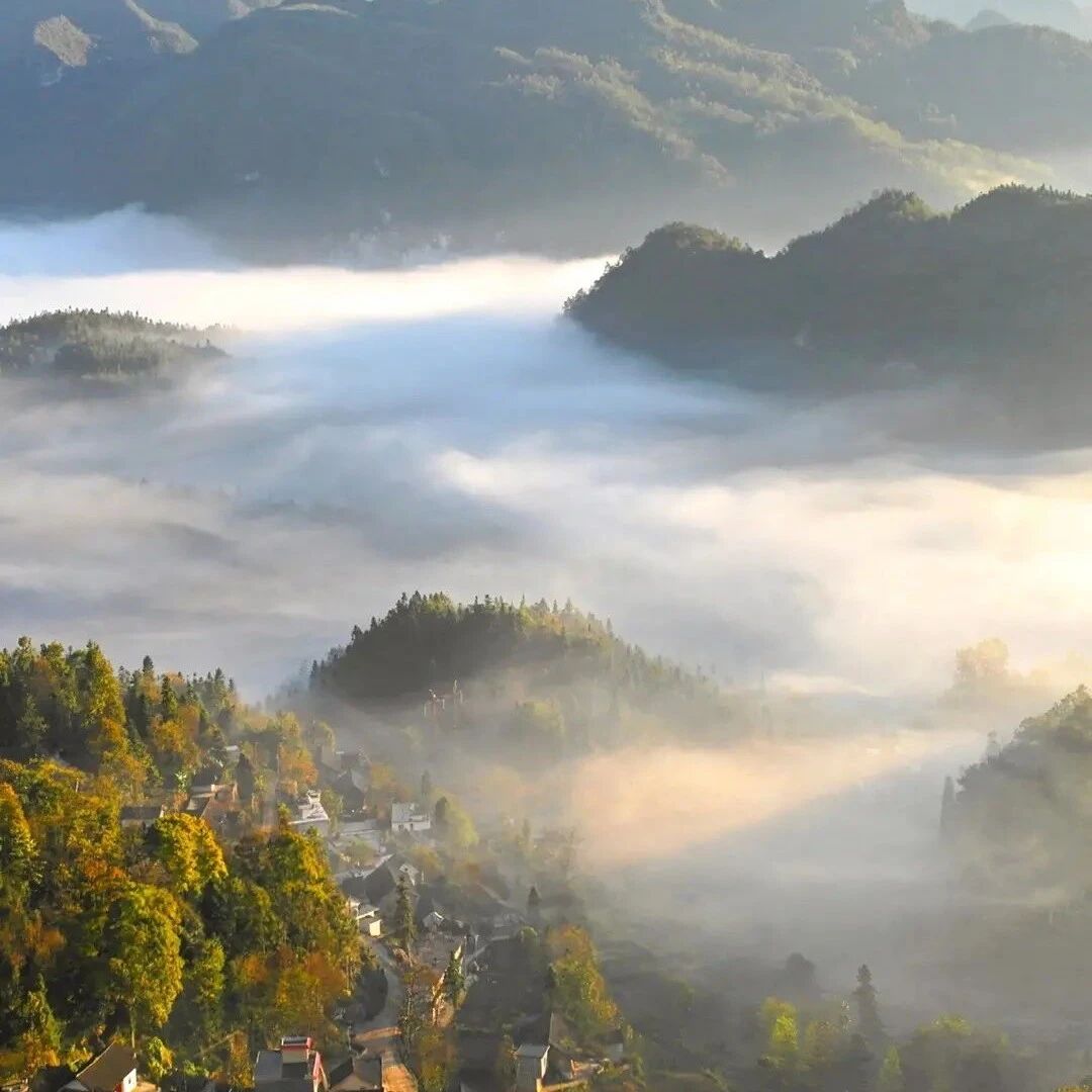 （三清山免票）行走名山