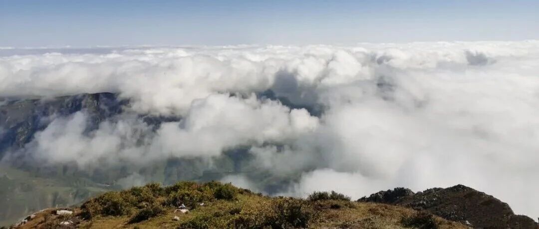 西秦岭：露骨山