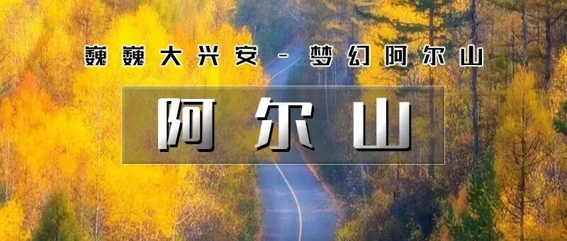 2026宽体保姆式大巴 童话世界阿尔山