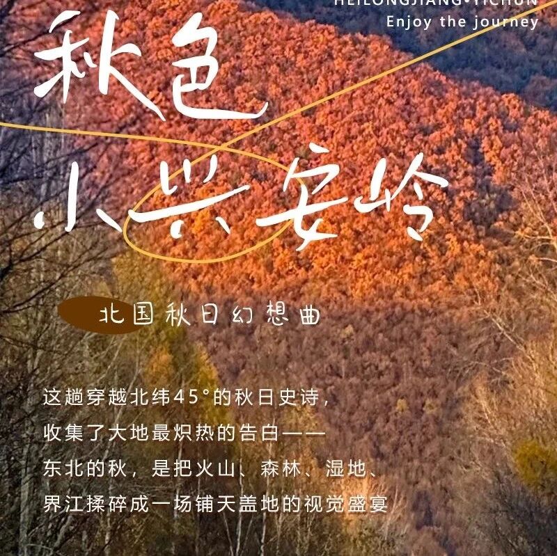 国庆小兴安岭秋色｜乌带公路-331公路-茅兰沟国家森林公园-五大连池-边境城市黑河-哈尔滨-长春7天纯玩 人少景美