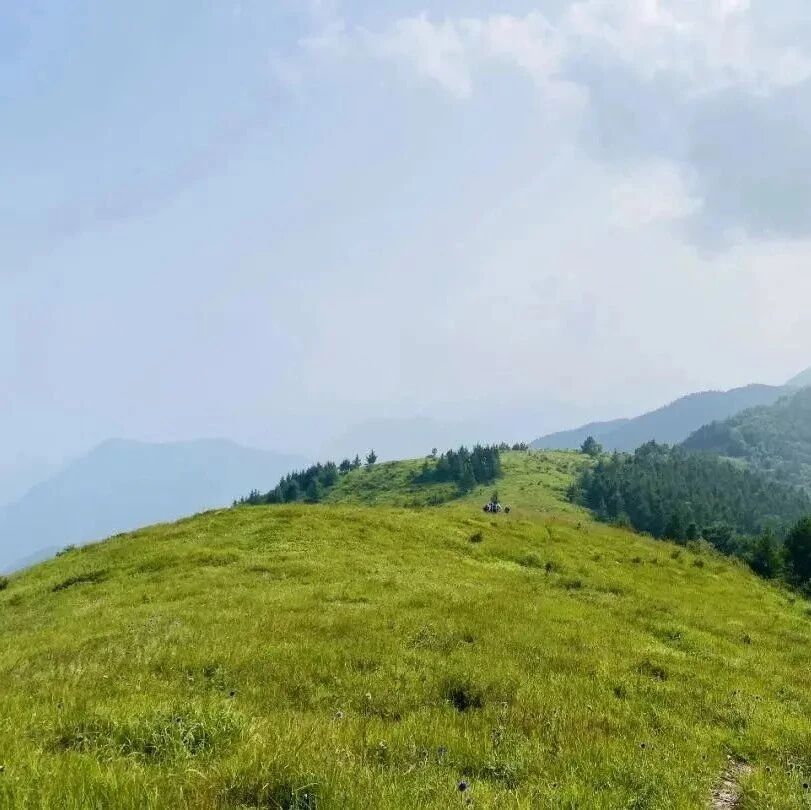 【初级】8月22日：老龙窝「不出京的高山草甸 」