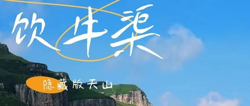 饮牛渠｜小众高山草甸秘境の漫山野花+溪流牛羊+空中草原徒步穿越12公里 周末1日