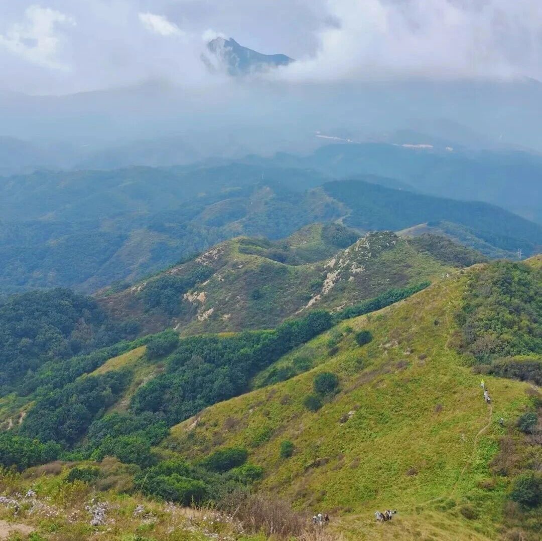 【初/中级】8月22日：九道梁-月老洞「抹茶山丘」「林深花香」