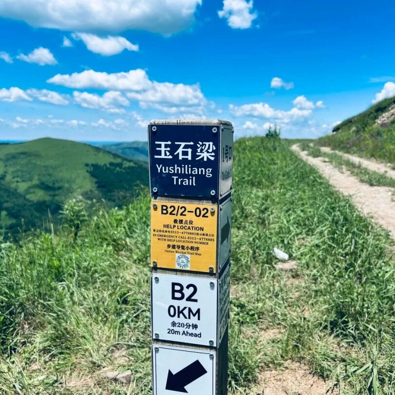 玉石梁-大鹰梁-喜鹊梁-环线徒步穿越 高山草甸 云端花海の崇礼三梁 周末