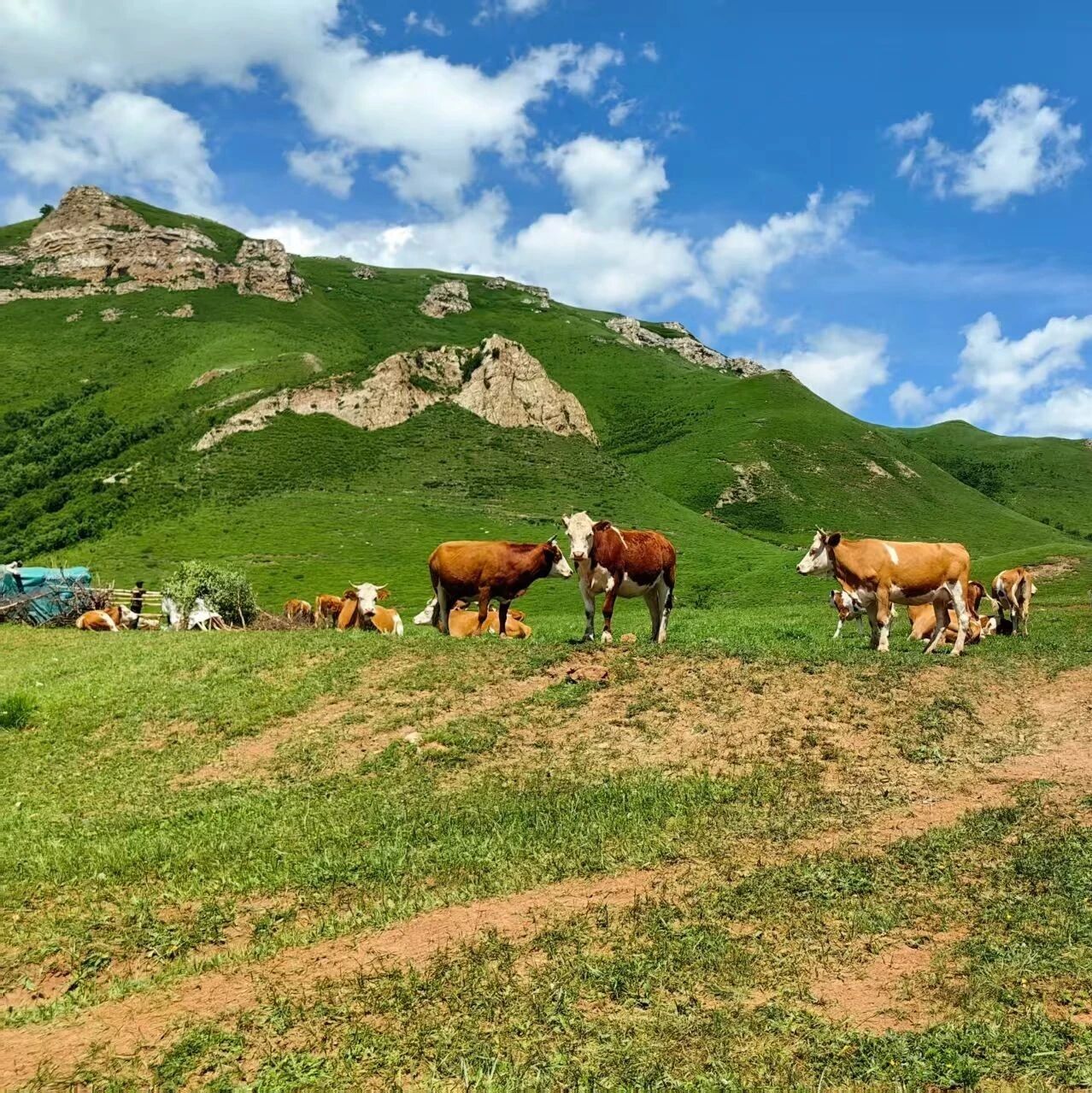 【中级】8月22日：石洞山-十八堂「探秘京西地下迷宫」「闯入被遗忘的崖居宝藏秘境」