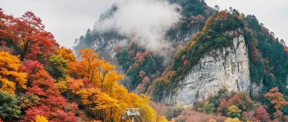 光雾山深度赏秋游（十八月潭·天然画廊·香炉山·黑熊…