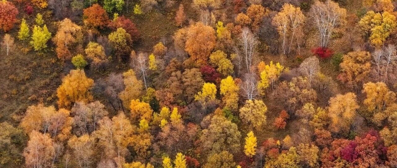 塞北金秋·经典赏秋徒步线路·美林谷-大青山-达达线…