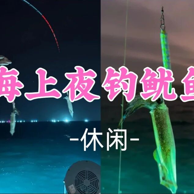 新线！即将成团！69元起！周六8.29 小文领队【休闲】夏日限定海上夜钓鱿鱼，沉浸式海上休闲之旅