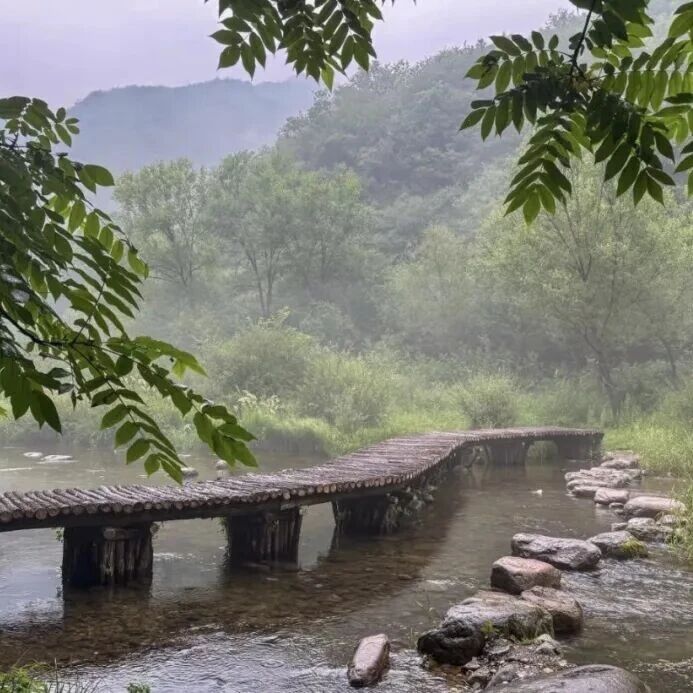 辞山巅，坠深谷！应梦寺穿后河，从云端松林到翡翠…