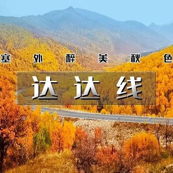中秋十一 达达线