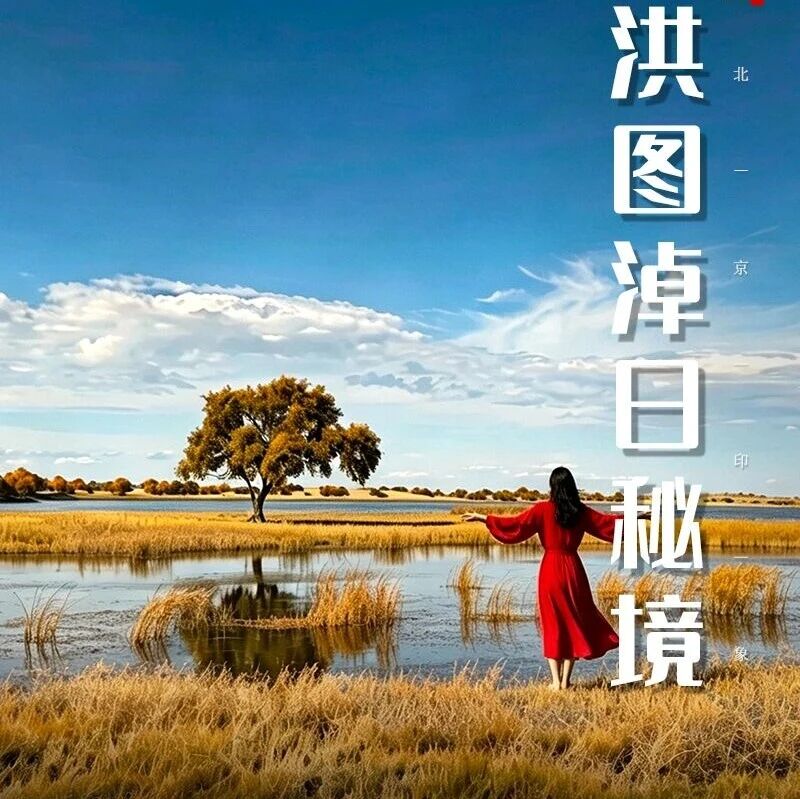 中秋/国庆3天 · 徒步草原秘境-赏醉美秋色の洪图淖…