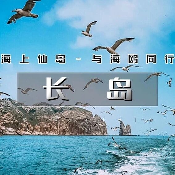 中秋长岛の蓬莱-庙岛-万鸟岛-月亮湾-与海鸥为伴 放…