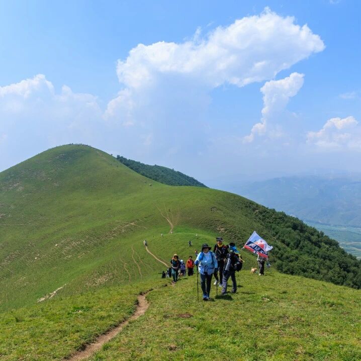 【初级】8月29日：安全沟梁「山野风光」「高山草甸」「原始森林」