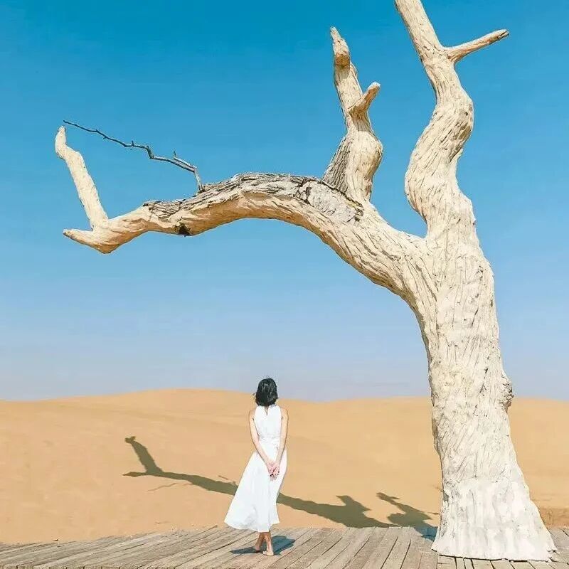 中秋蒙西秘境 · 一半沙漠一半海の网红乌海-西部梦…