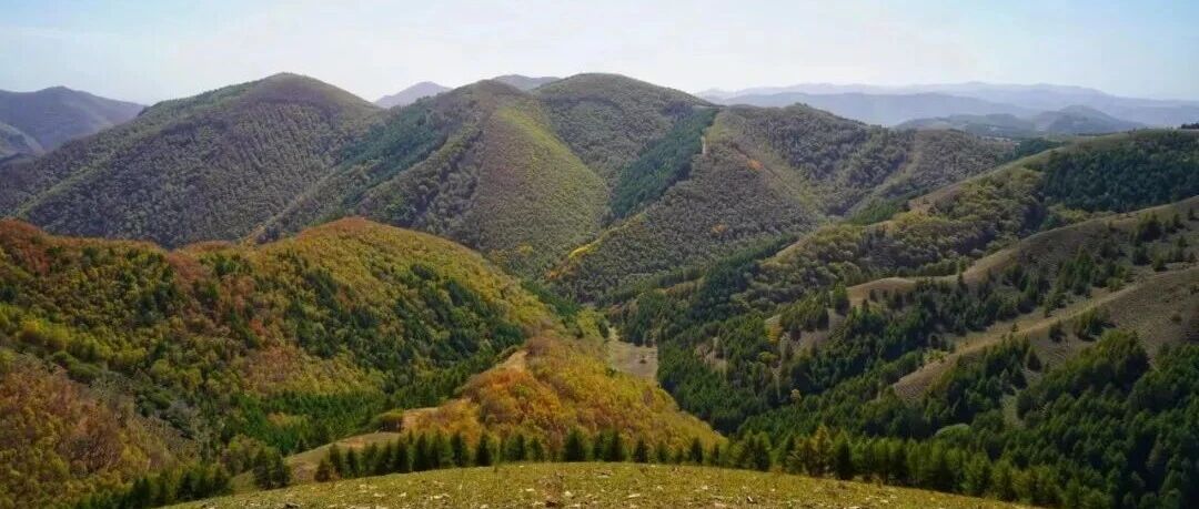 老掌沟赏秋露营 五彩山林 河谷溪流 让我们一起探索…
