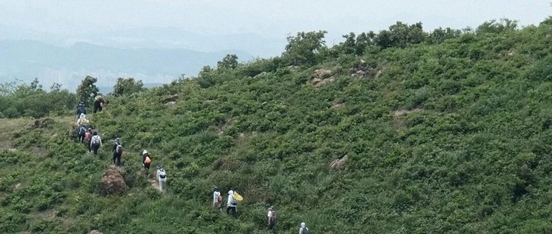 登山徒步 | 10.02 徒步八公山大环线，穿行林海湖光，赴一场山野徒步之约