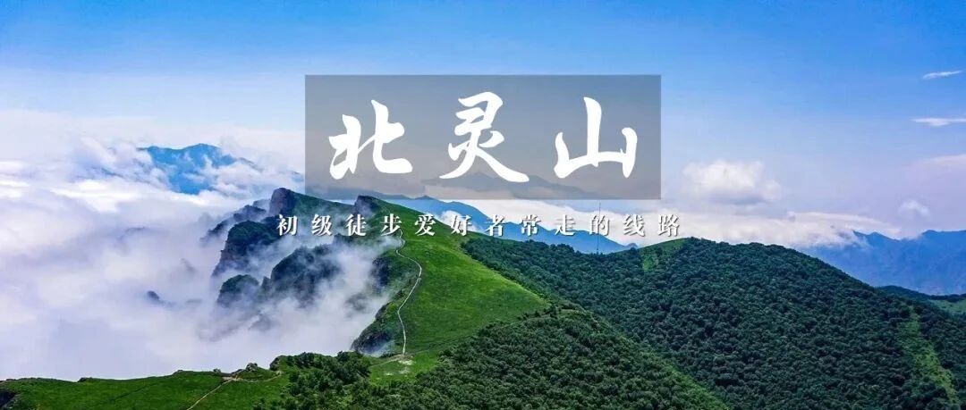 北灵山高山大草甸 白桦林 蓝天白云 半休闲户外徒步登山