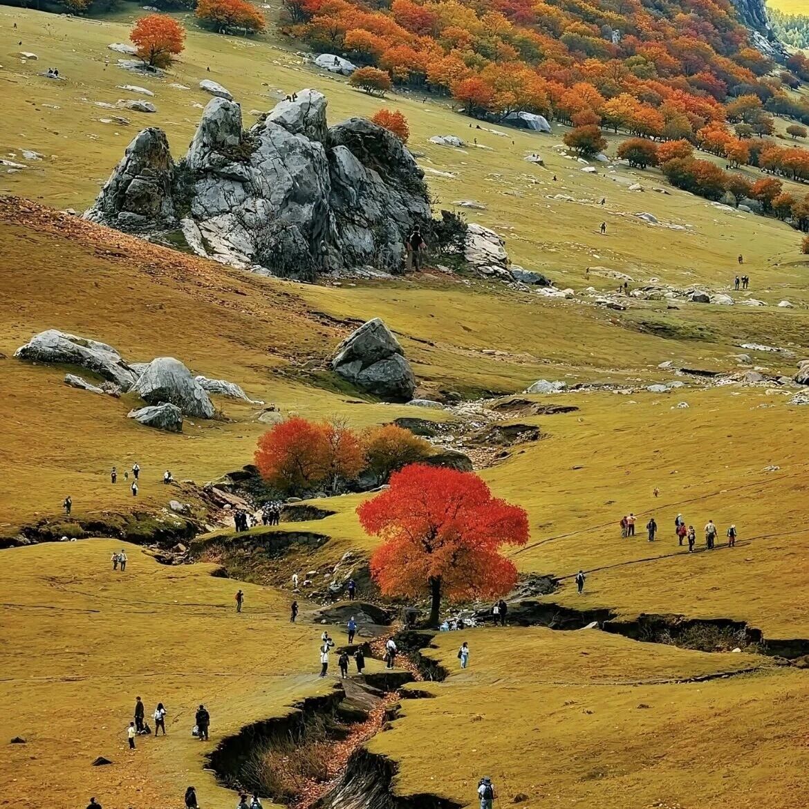 十一国庆3日 · 大青山