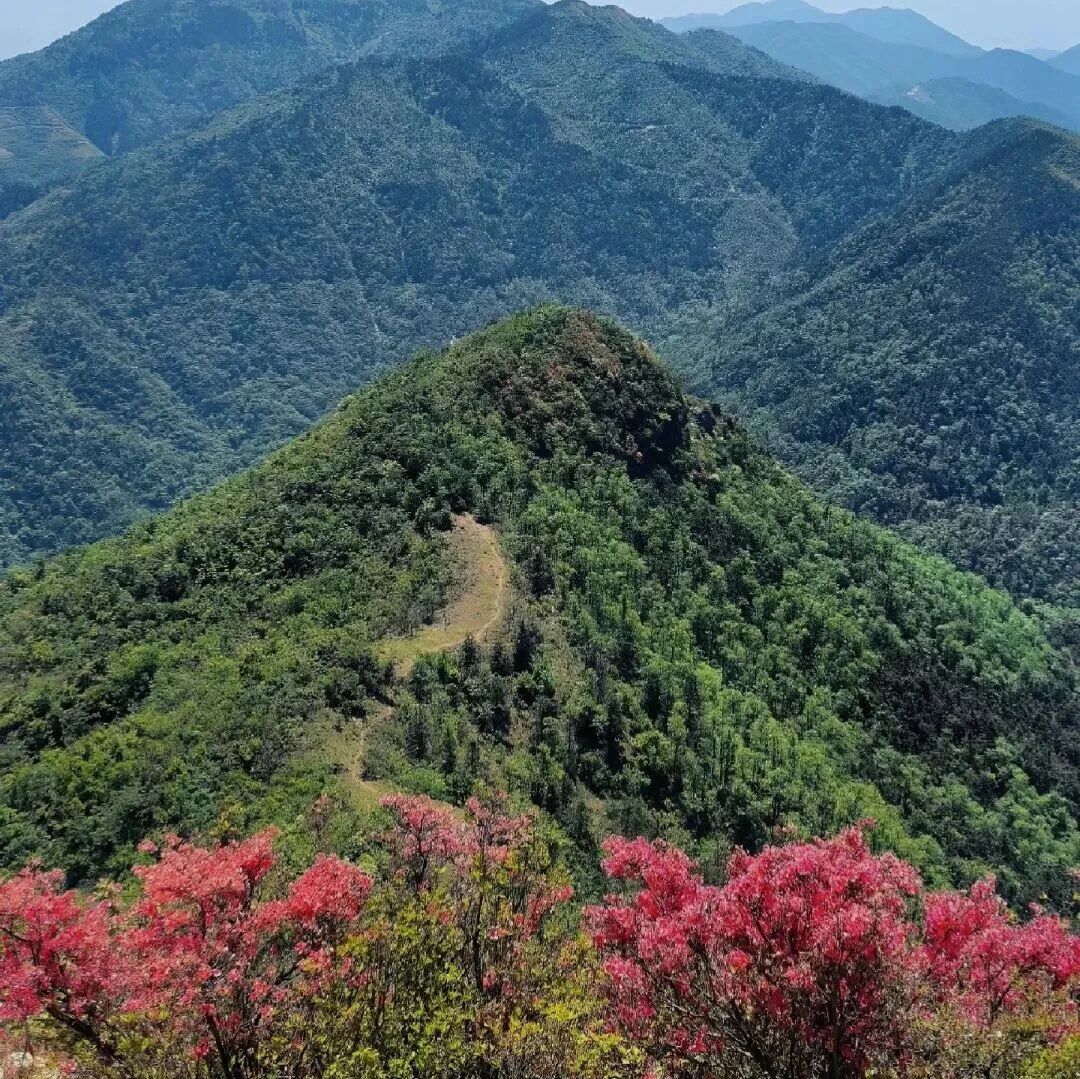 徒步登山 · 皖南旌德黄高峰环线，13km治愈环线，山…