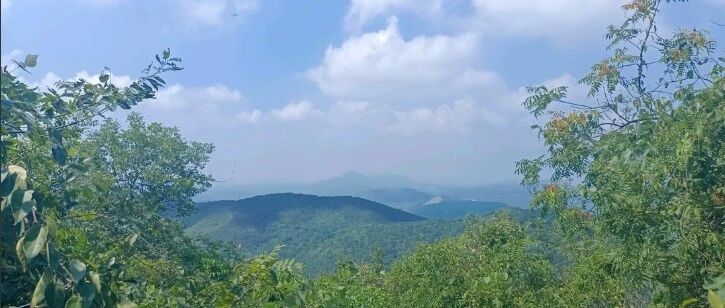 登山徒步 · 武岐山空青山环线，领略悠远迷人的古茶…